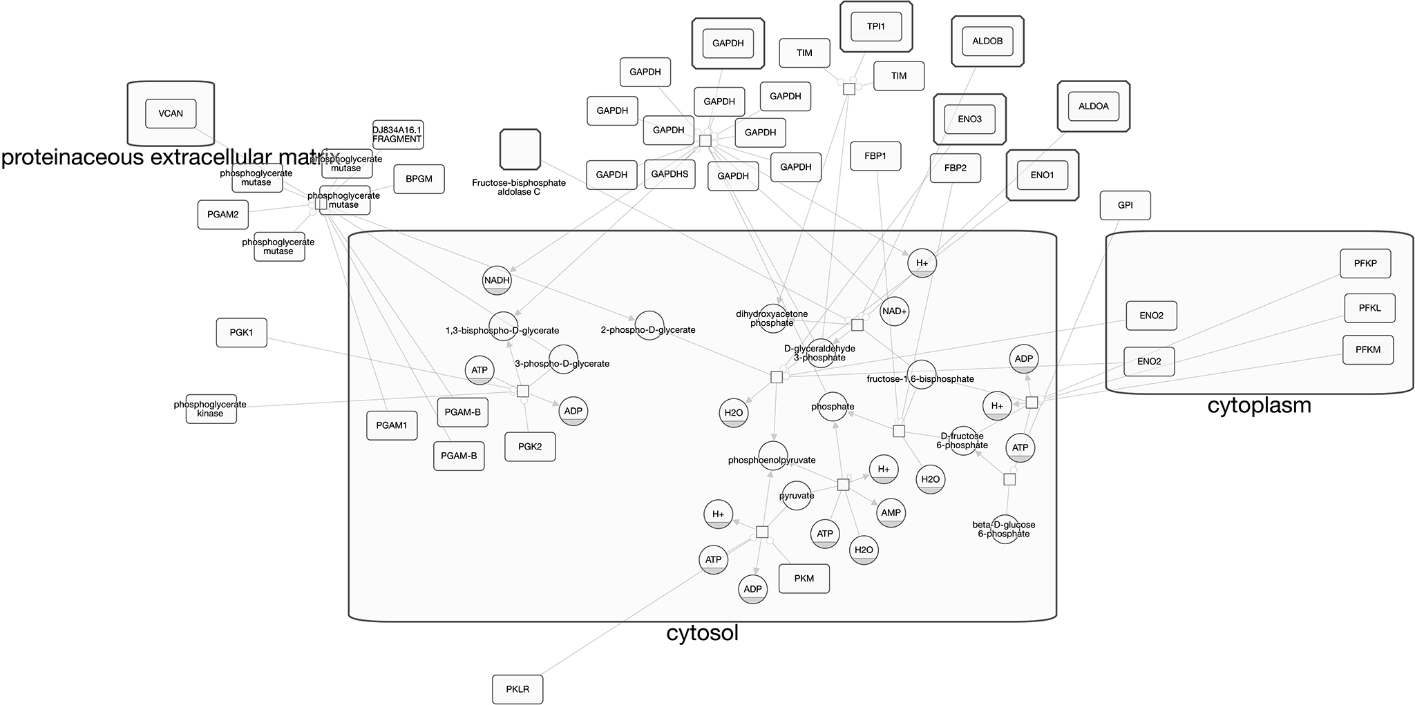 Pathway: glycolysis I Source: humancyc Genes: ALDOA ALDOB BPGM ENO1 ENO2 ENO3 FBP1 FBP2 GAPDH GAPDHS GPI PFKL PFKM PFKP PGAM1 PGAM2 PGK1 PGK2 PKLR PKM TPI1 VCAN