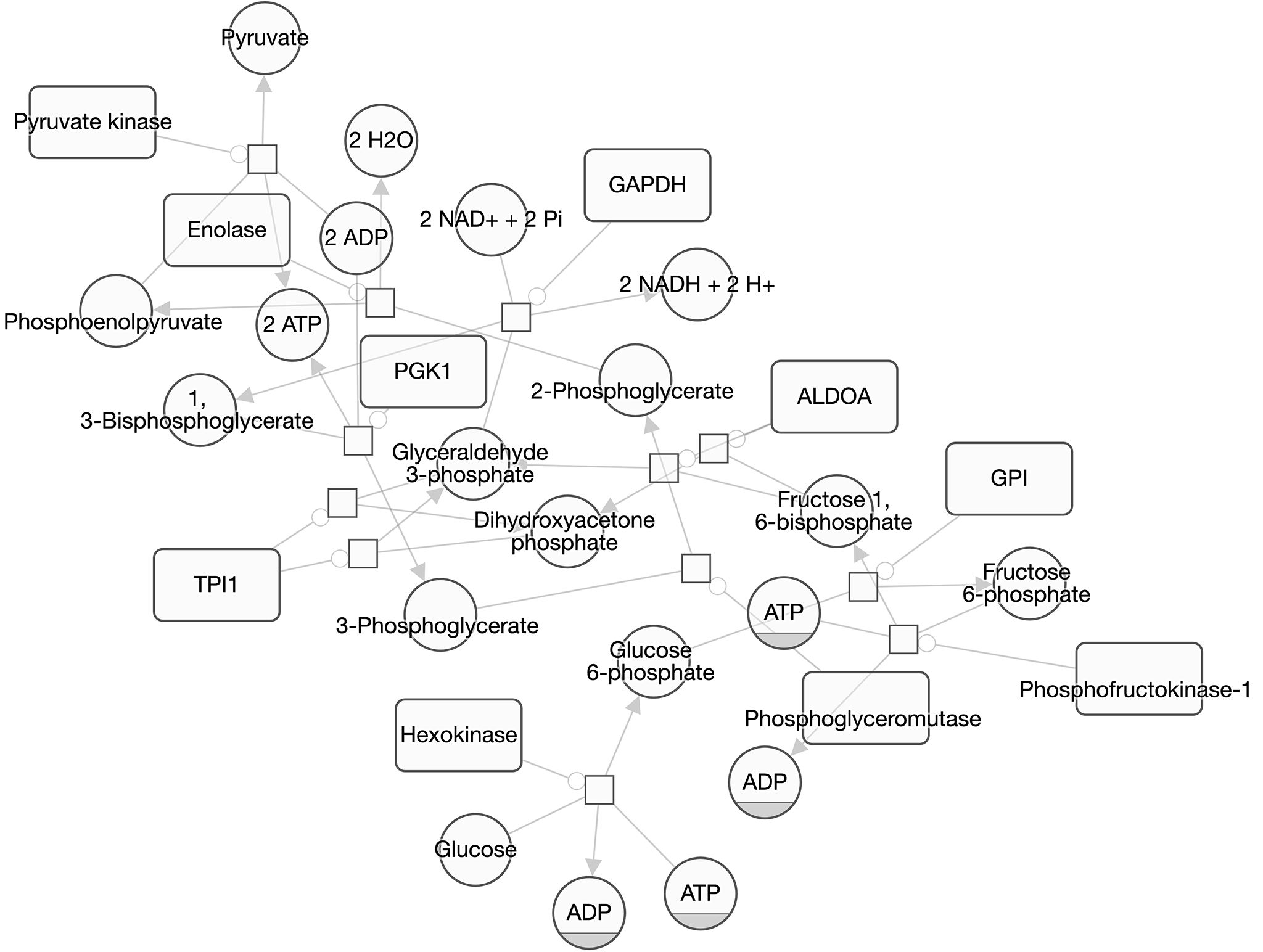 Pathway: Glycolysis Source: panther Genes: ALDOA BPGM ENO1 ENO2 GAPDH GPI HK1 HK2 HKDC1 PFKL PFKM PGAM2 PGAM4 PGK1 PKLR PKM TPI1
