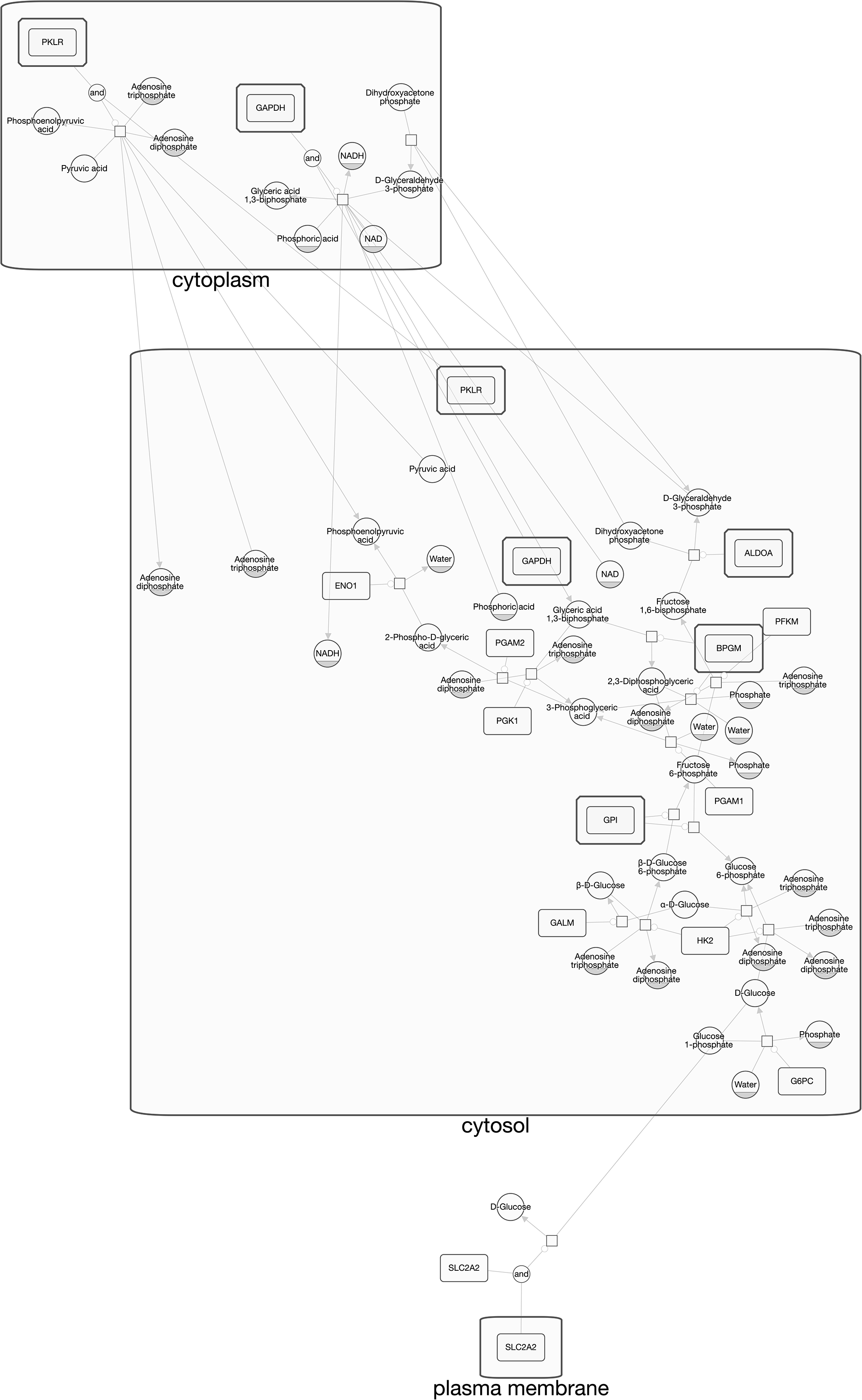 Pathway: Glycolysis Source: pathbank Genes: ALDOA BPGM ENO1 G6PC GALM GAPDH GPI HK2 PFKM PGAM1 PGAM2 PGK1 PKLR SLC2A2