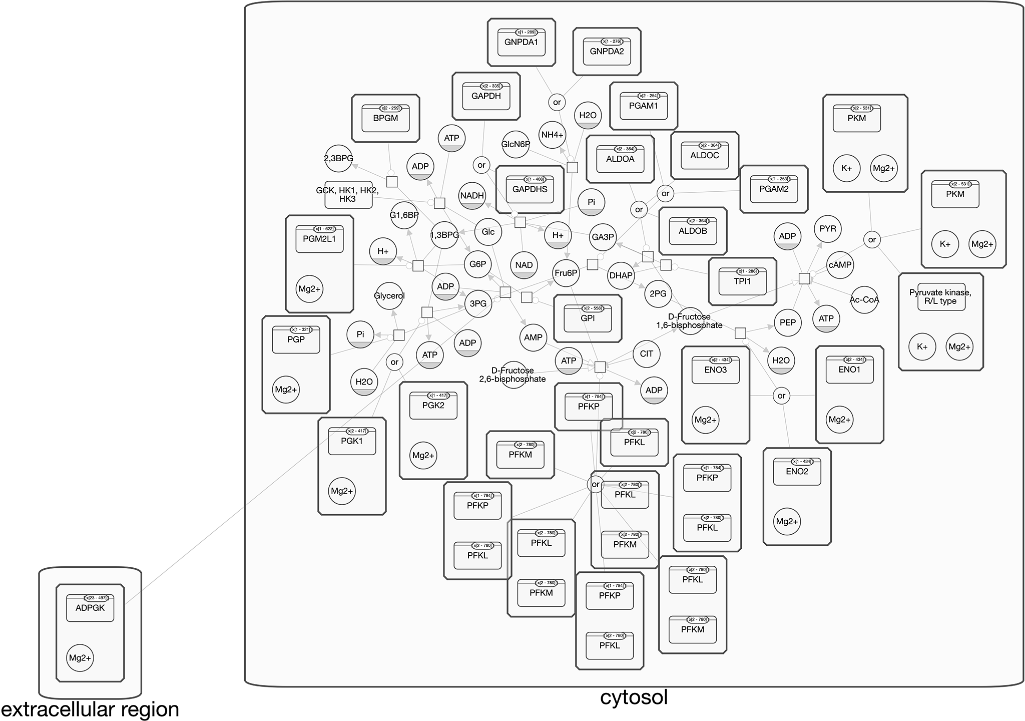 Pathway: Glycolysis Source: reactome Genes: ADPGK ALDOA ALDOB ALDOC BPGM ENO1 ENO2 ENO3 GAPDH GAPDHS GCK GNPDA1 GNPDA2 GPI HK1 HK2 HK3 PFKL PFKM PFKP PGAM1 PGAM2 PGK1 PGK2 PGM2L1 PGP PKLR PKM TPI1